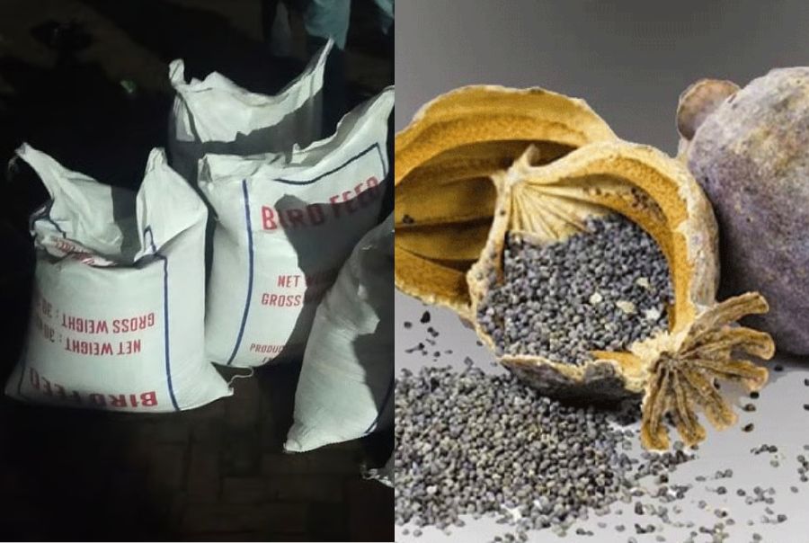 পাকিস্তান থেকে পাখির খাবারের আড়ালে এলো ২৫ টন নিষিদ্ধ পপি বীজ