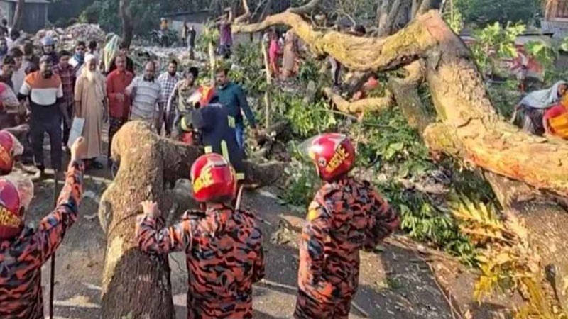 ঢাকা–বরিশাল মহাসড়কে গাছ ফেলে অবরোধ, ভোগান্তিতে যাত্রীরা