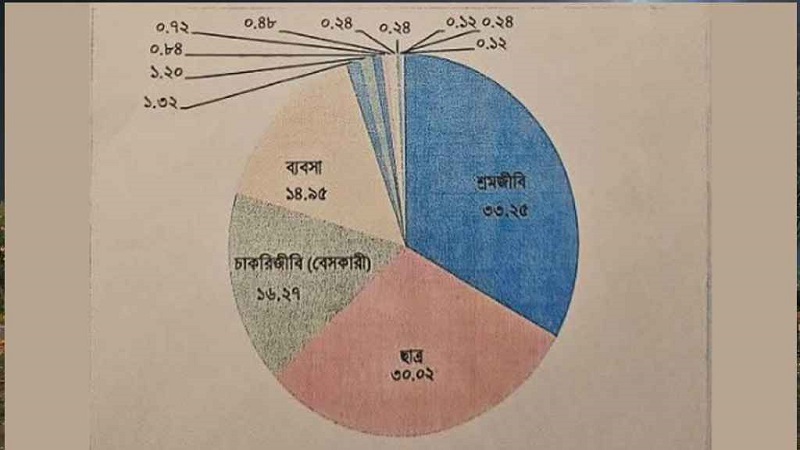 গেজেটভুক্ত জুলাই শহীদদের পেশাগত তালিকায় শীর্ষে শ্রমিকরা