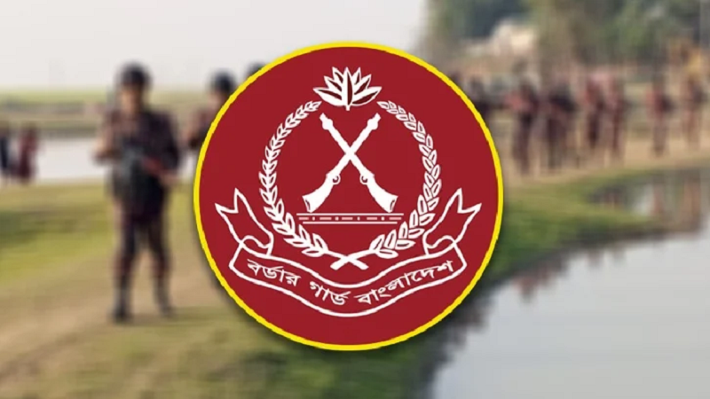 সিলেট সীমান্তে বিএসএফের গুলির জবাবে বিজিবির পাল্টা ফায়ার