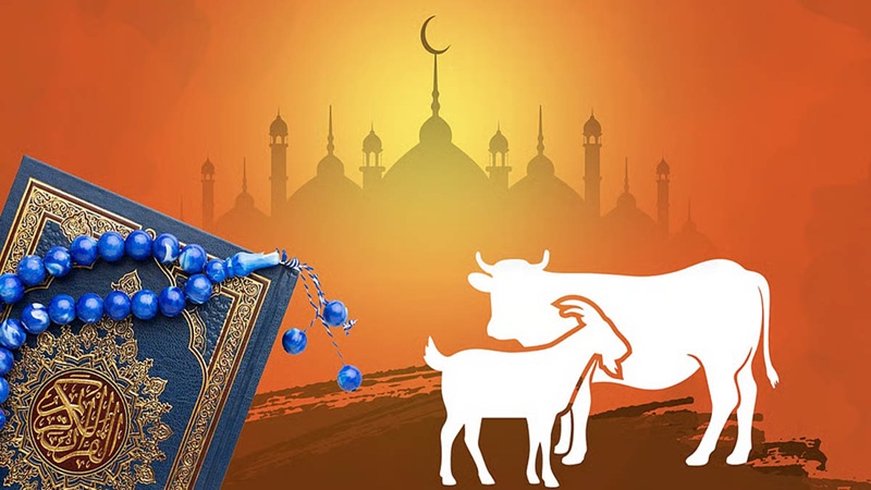কী পরিমাণ সম্পদ থাকলে কোরবানি ওয়াজিব হয়?