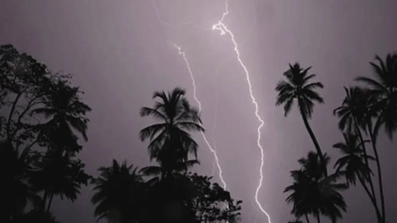 নড়াইলে বজ্রপাতে দুই কৃষকের মৃত্যু
