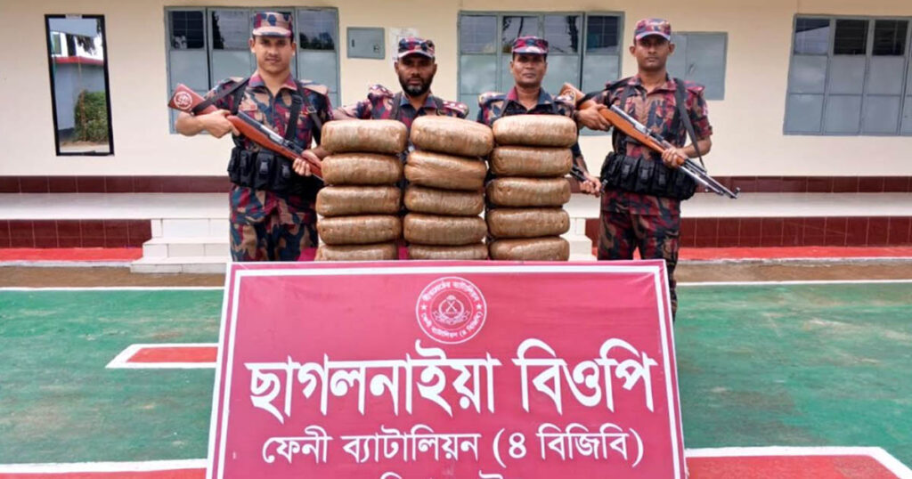 ফেনী সীমান্তে ৩০ কেজি ভারতীয় গাঁজা জব্দ